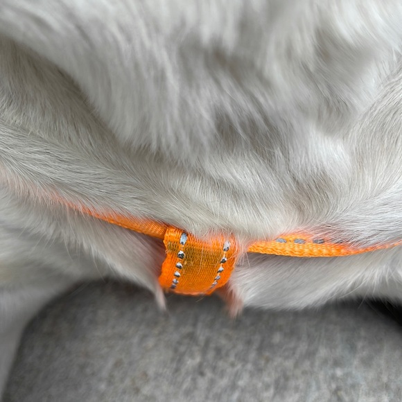 Large sport dog Harness 29” - Picture 8 of 9